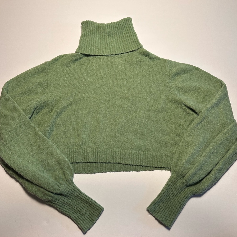 Princess Polly Sage Turtleneck Cropped Sweater